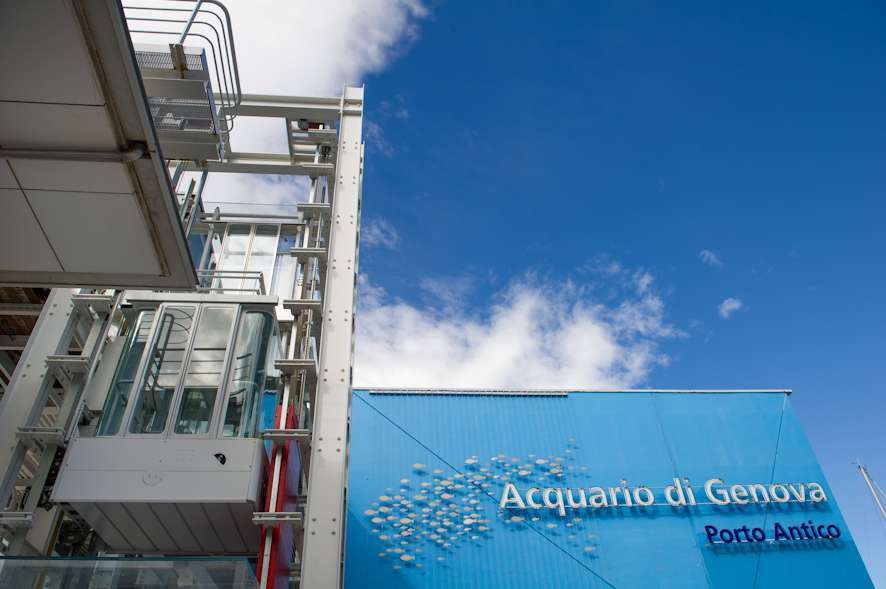 acquario, foto merlo