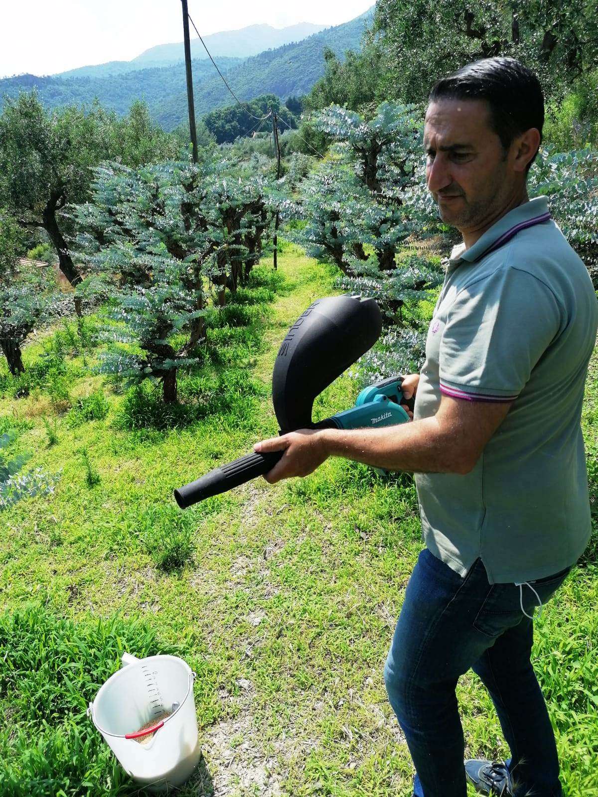 Soffiatore lancio insetti predatori 2