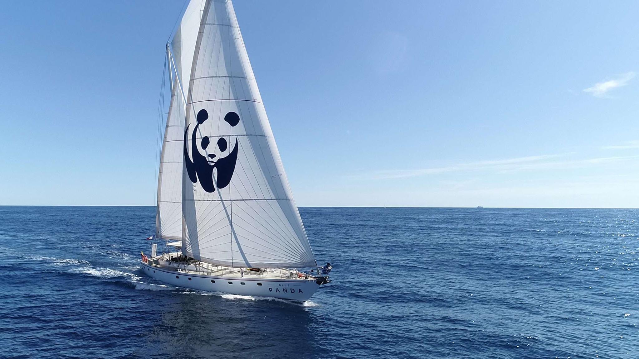 blue_panda_drone__8_