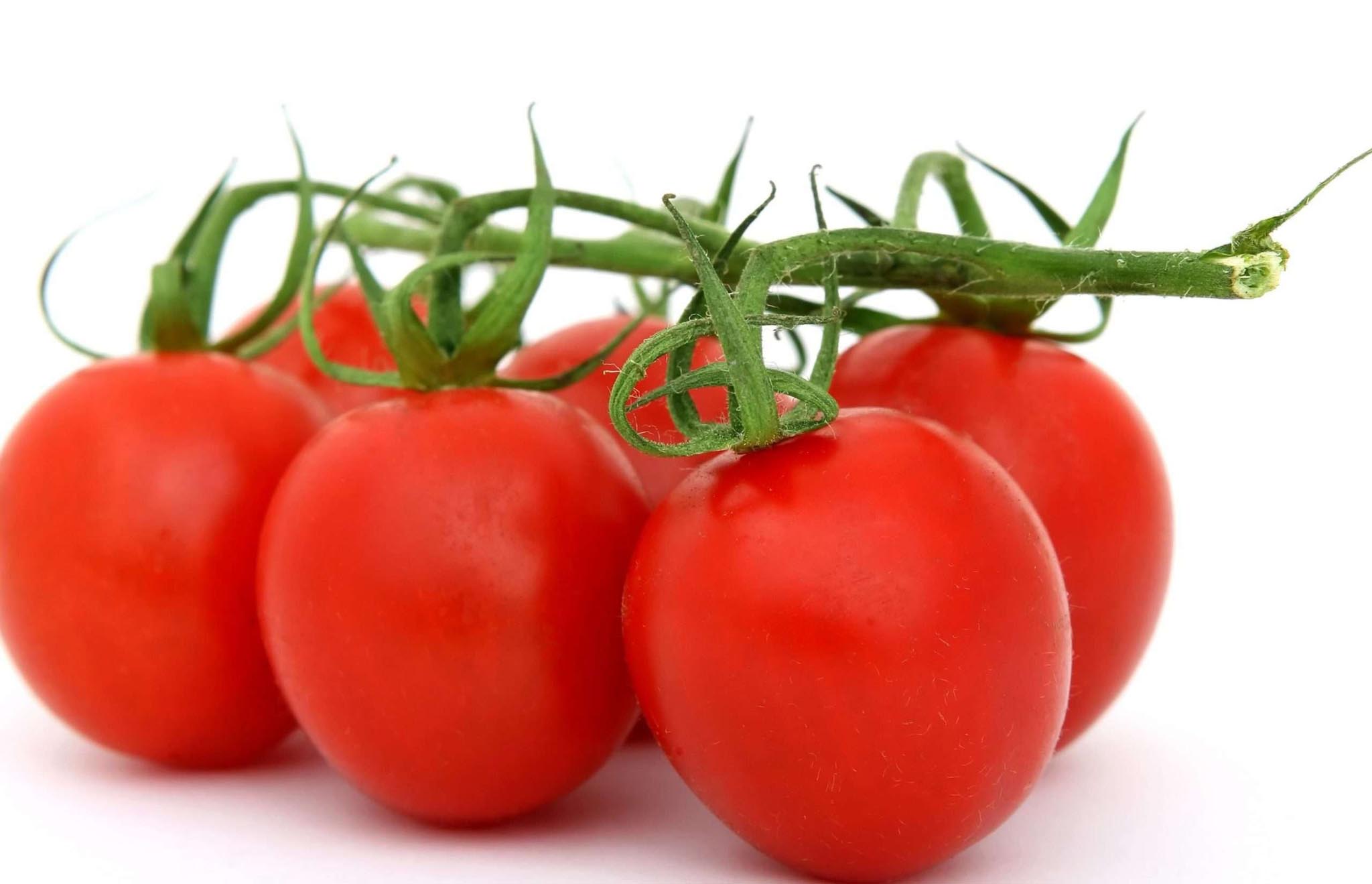 pomodori