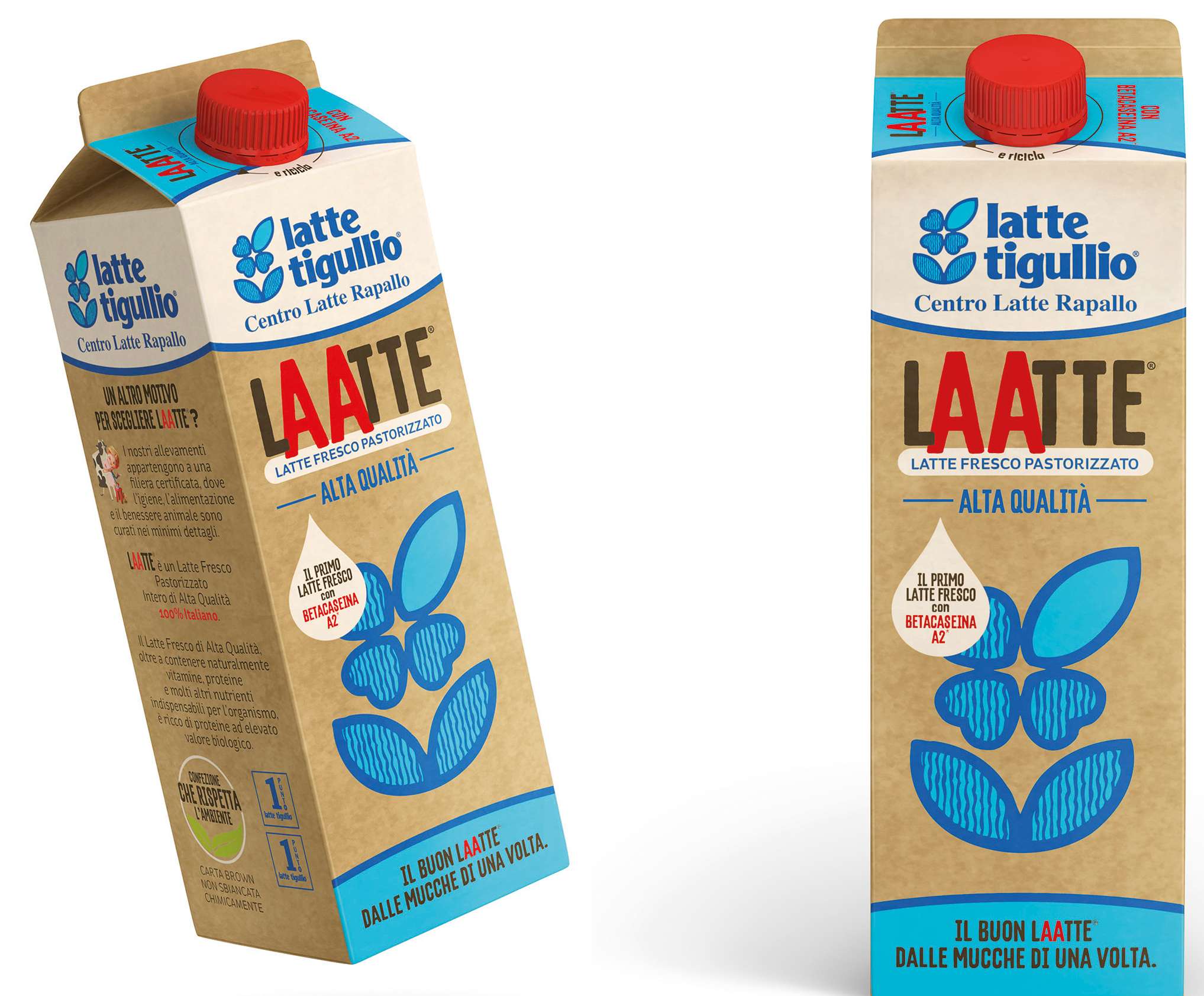 latte aa