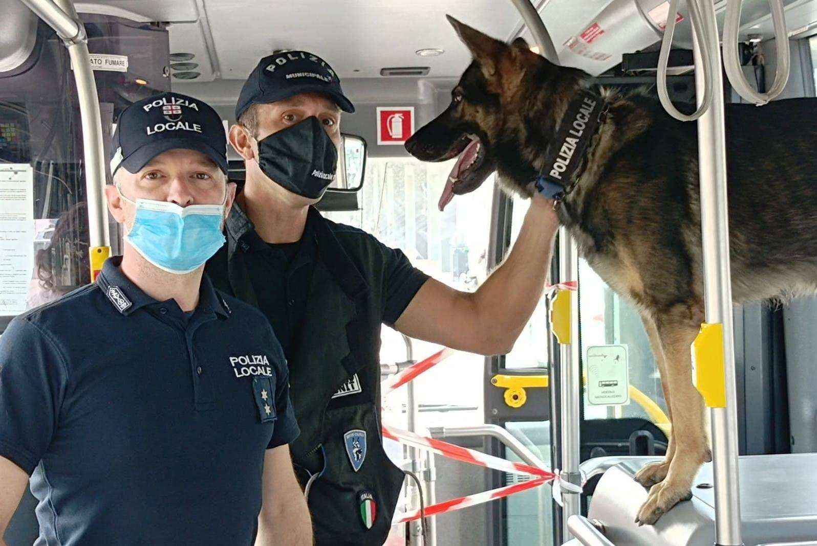 Controlli bus Savona