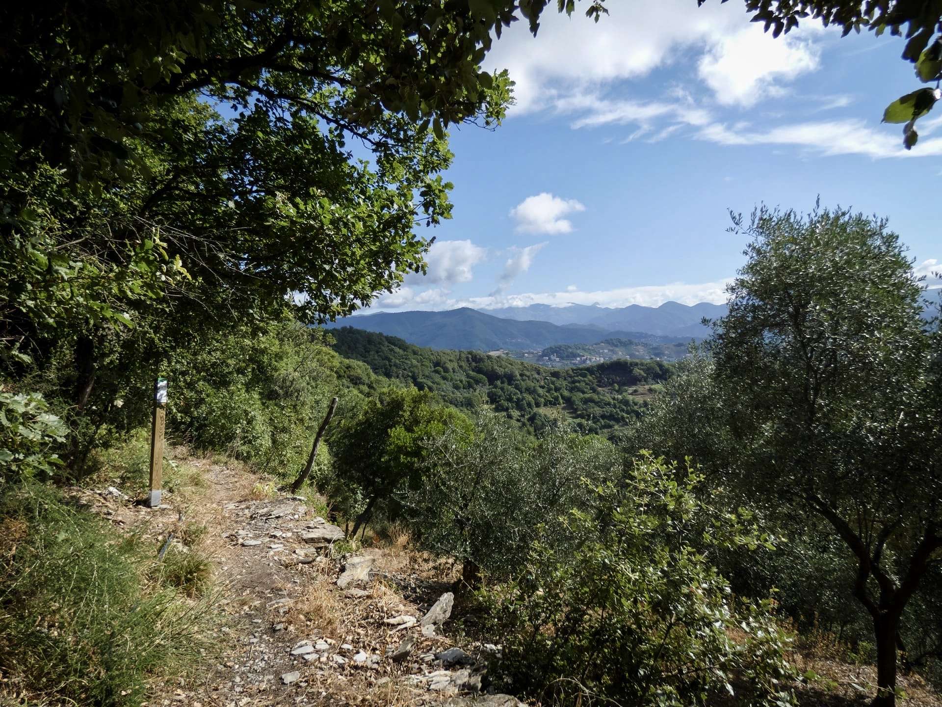 Foto segnaletica sentieri