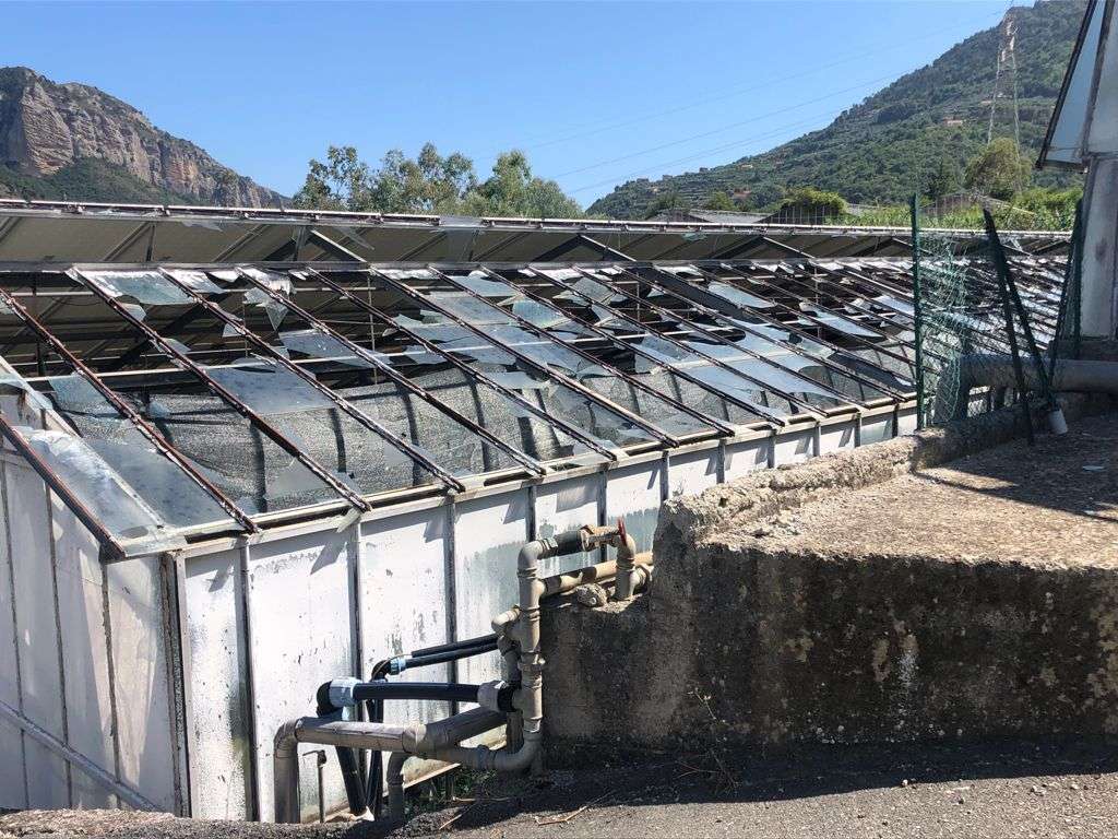 maltempo agricoltura danni cia liguria
