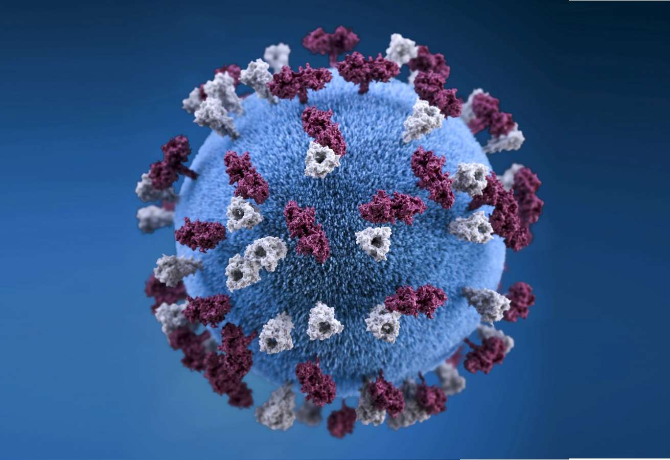 covid coronavirus