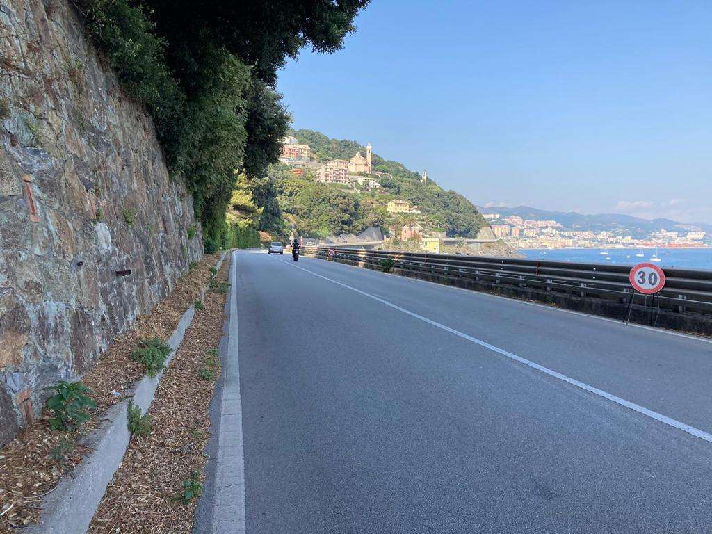 via aurelia vesima