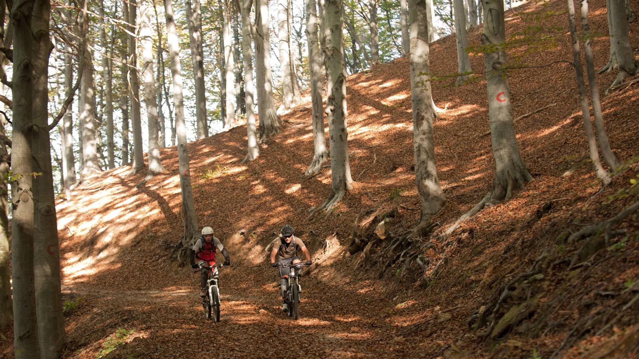 mountain bike outdoor