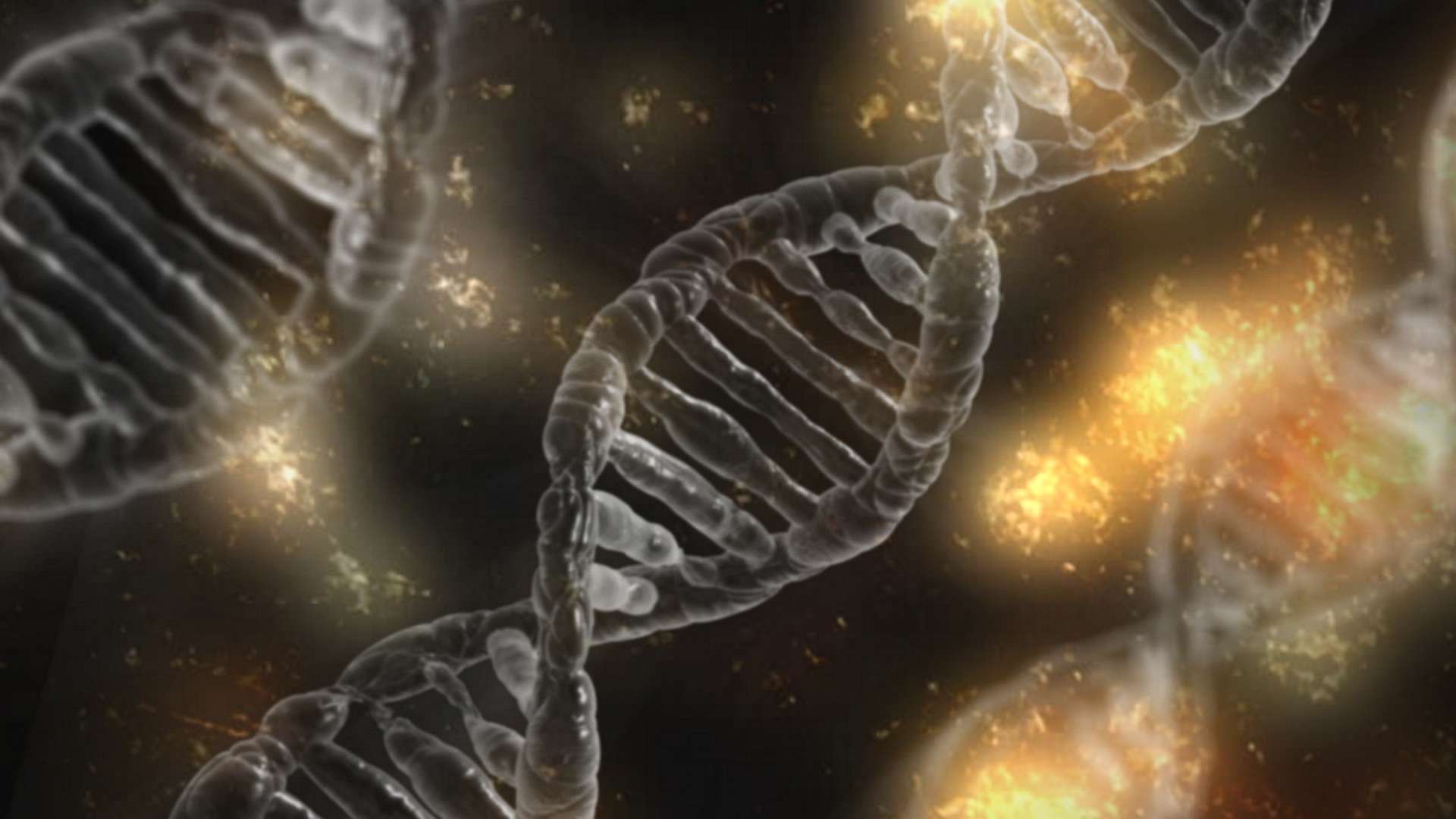 dna scienze della vita