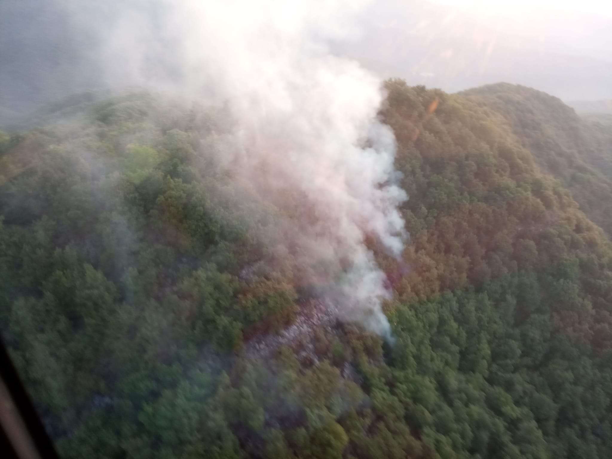 incendio dolcedo