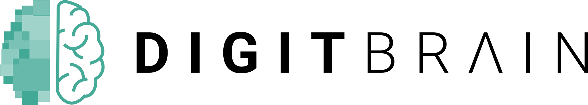 DIGITbrain_HR_HR_landscape