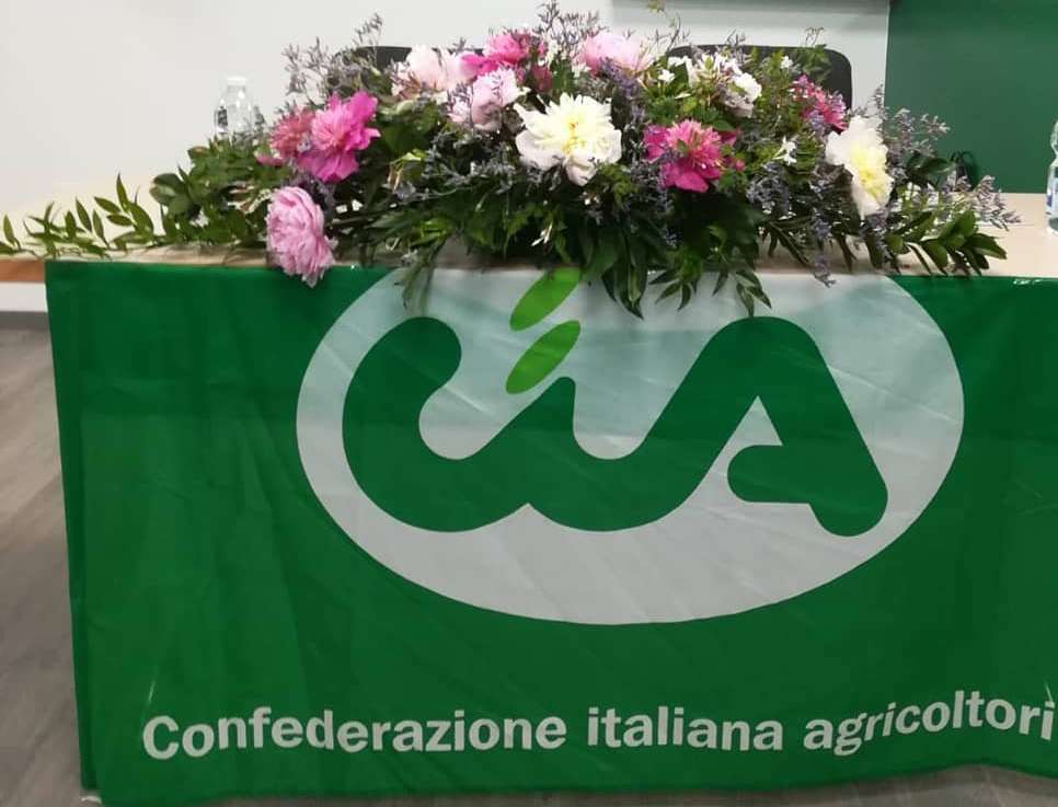 cia bandiera