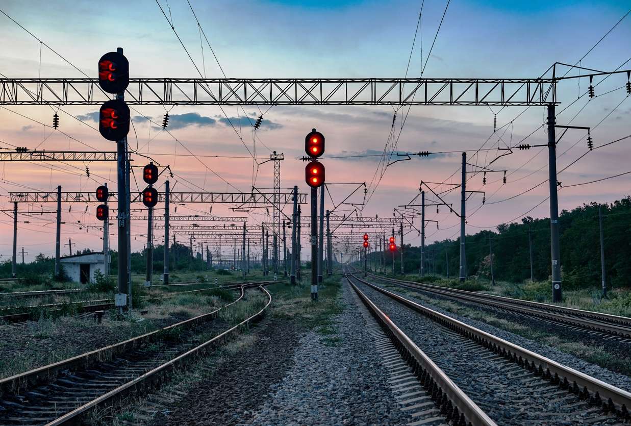 linea