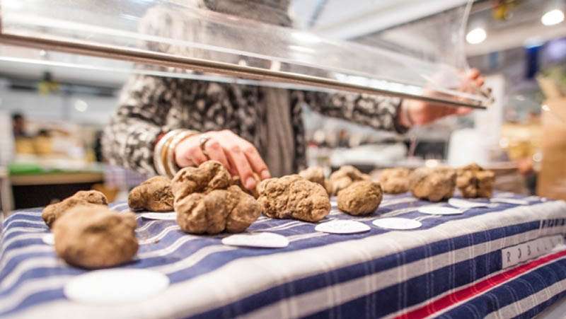 mercato-fiera-del-tartufo-alba