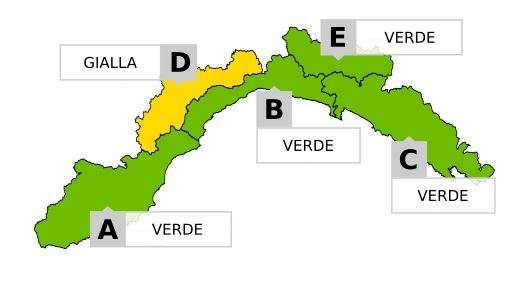 zona D