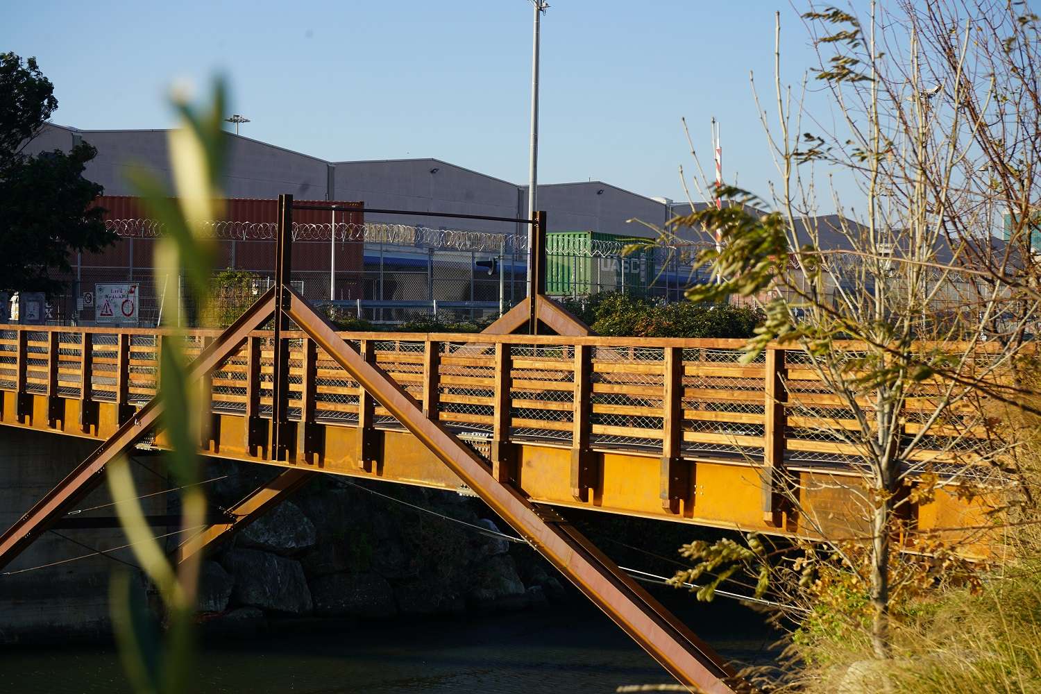 Ponte 5