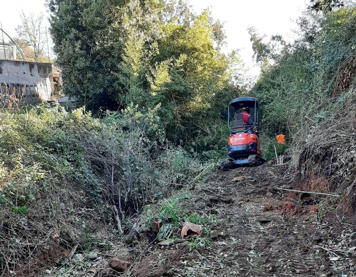 Rio Carendatratto compreso tra la Strada Vicinale Carraie la Strada Vicinale Poggi 3