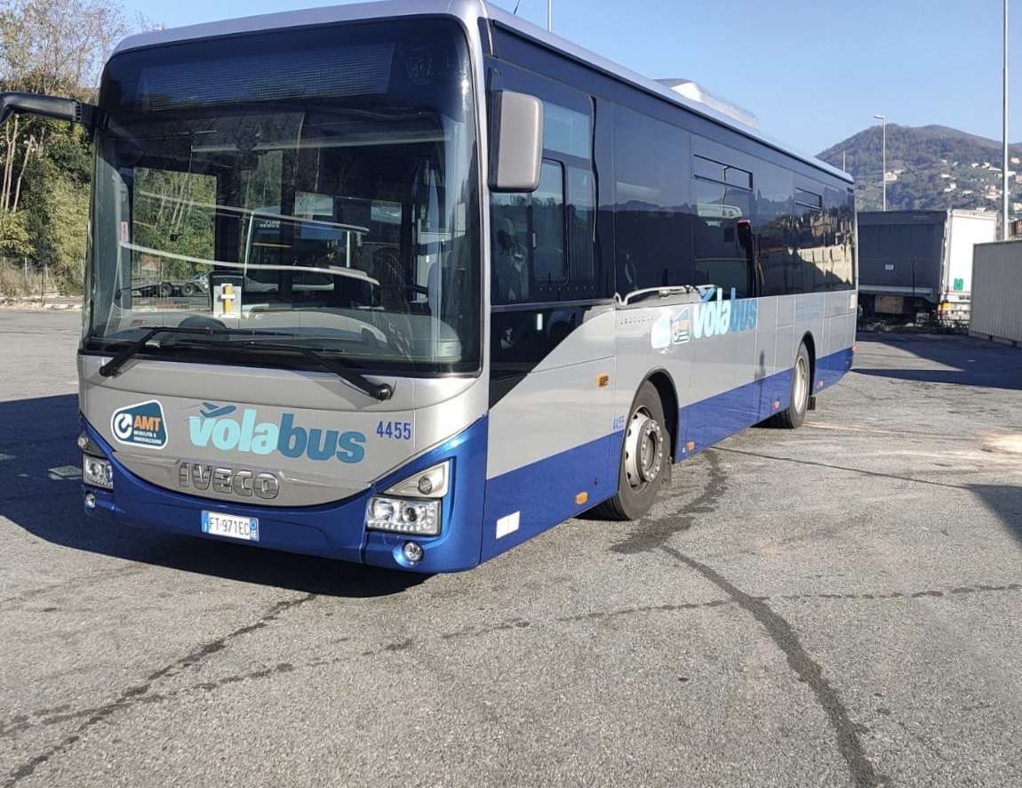 Volabus amt