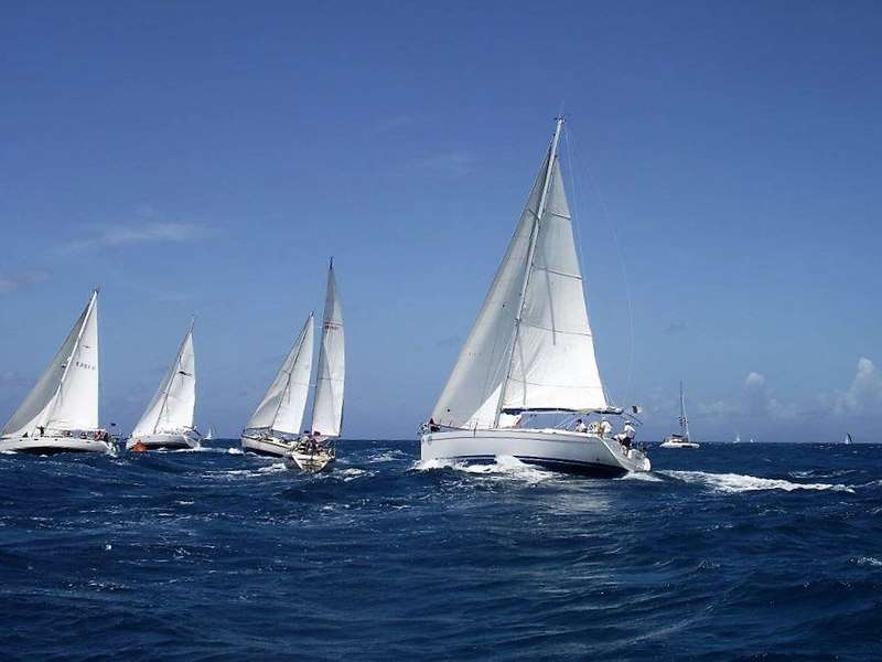 vela