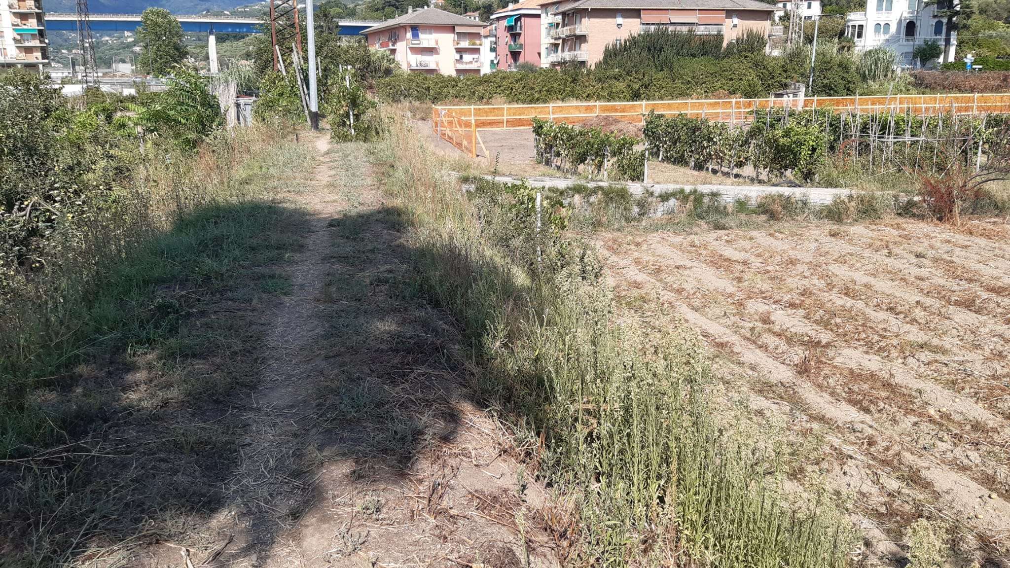 Il Seggiun sul fiume Entella (1)