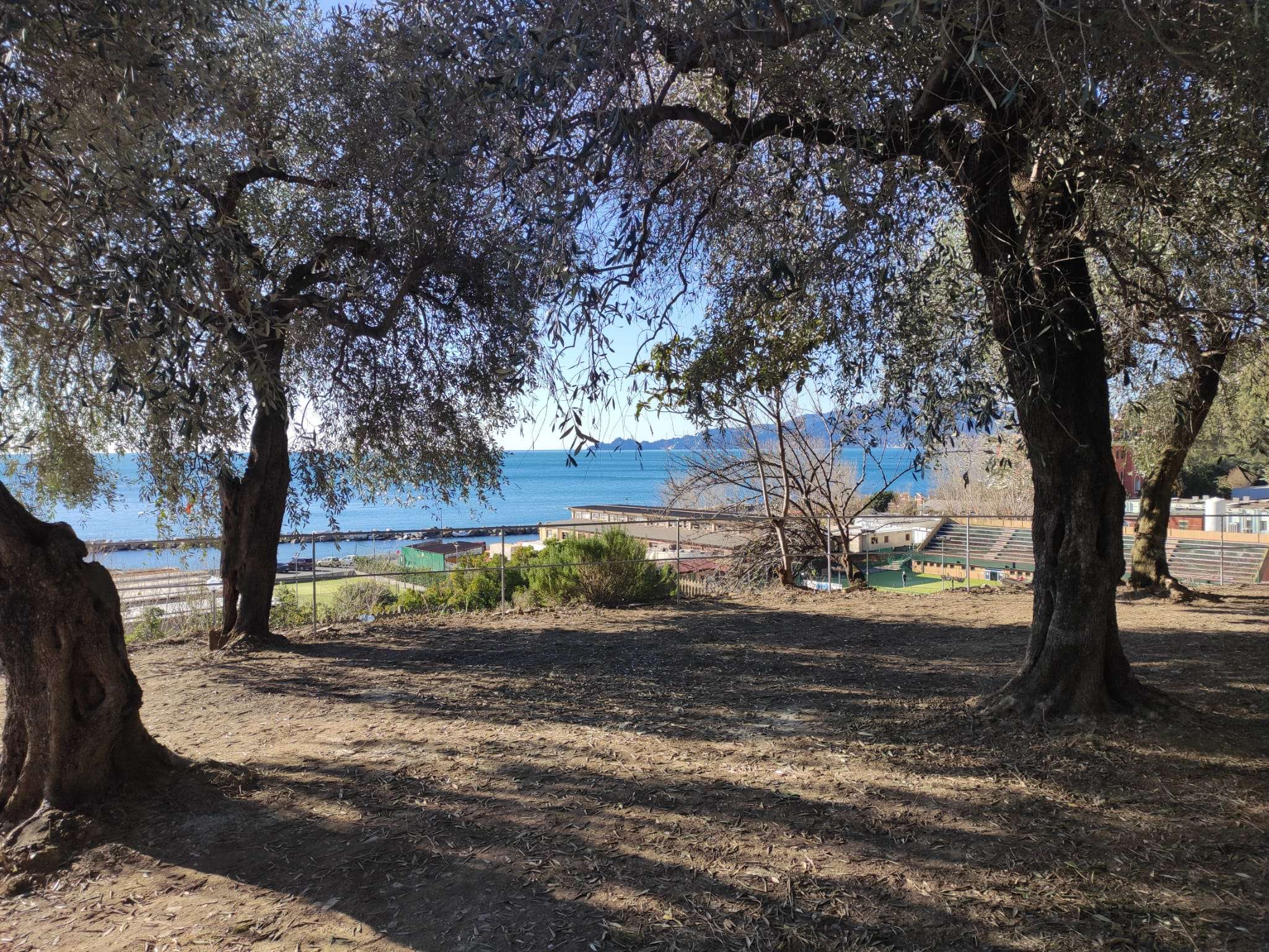 area ripulita sentiero delle Grazie