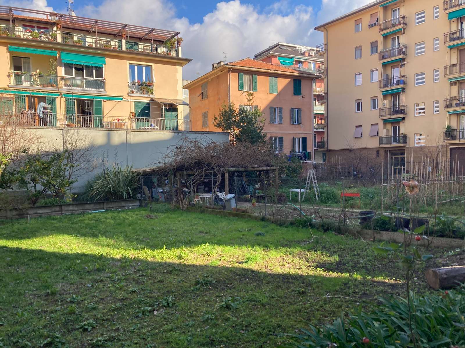 orti orto urbano