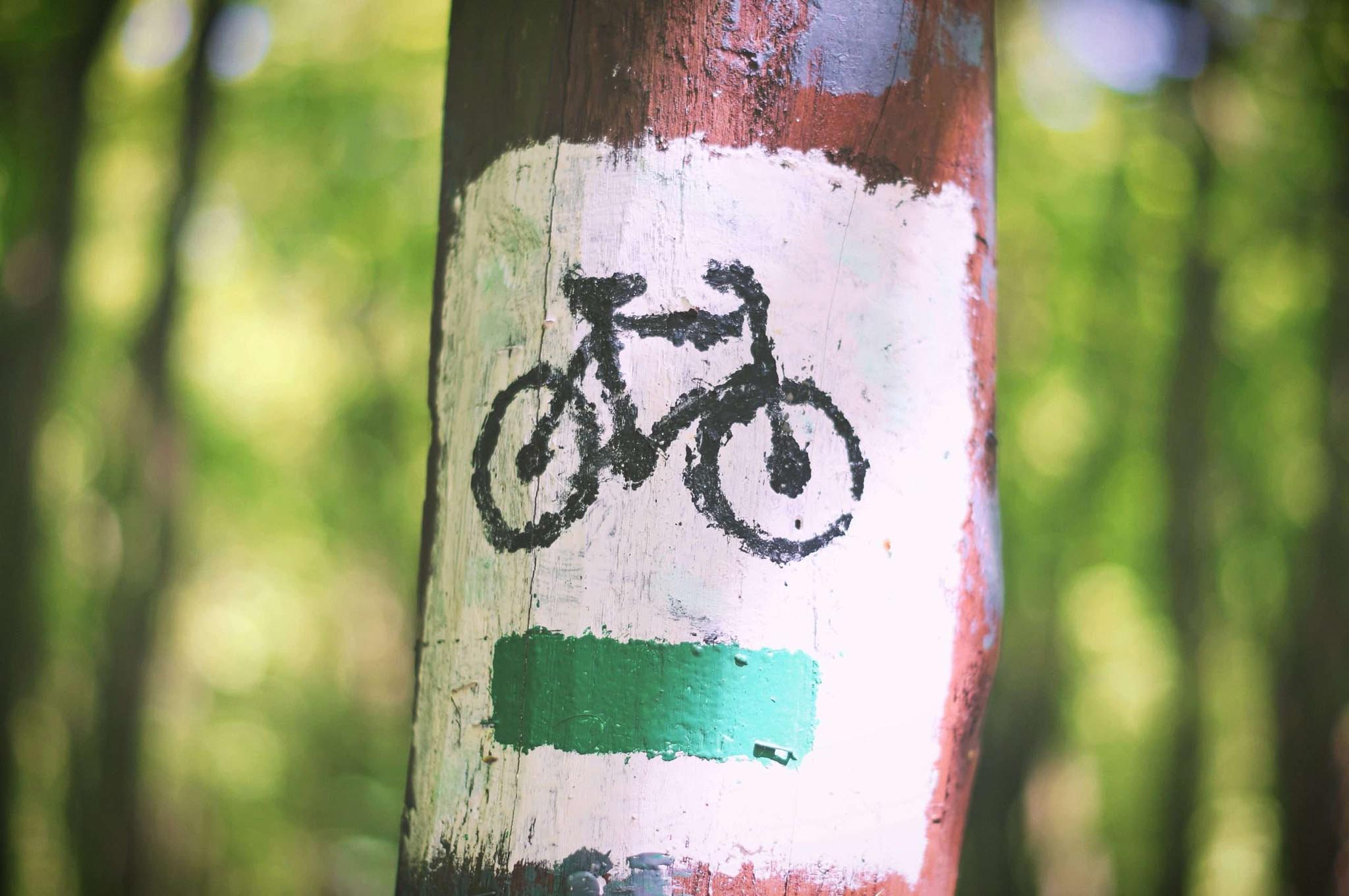 bicycle, route, signs, painted, tree, trunk