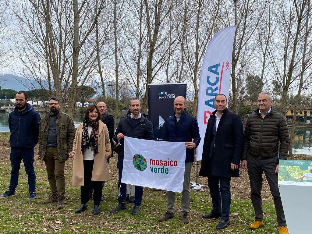arca sgr alberi montemarcello
