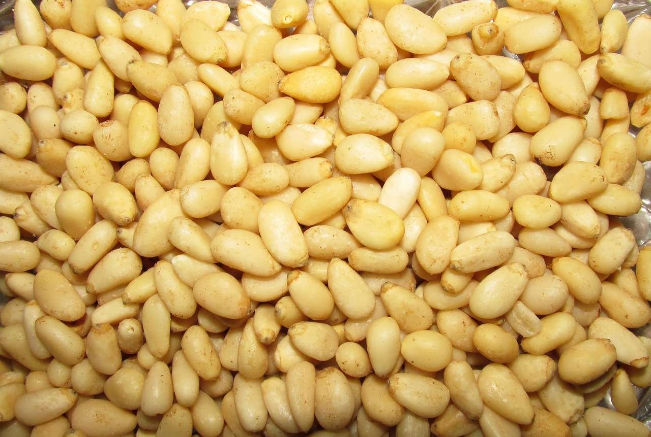 pinoli