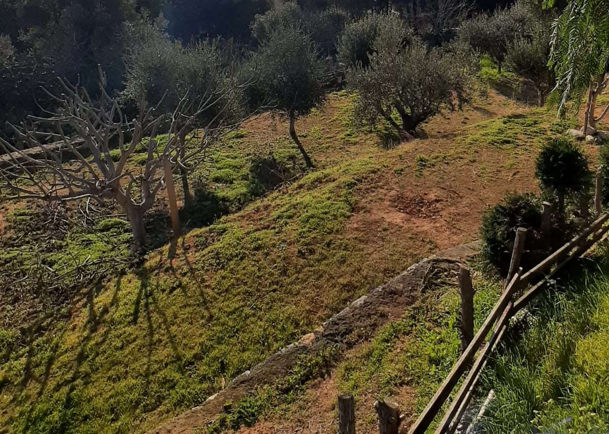 fasce agrario agricoltura terreni coltivazione
