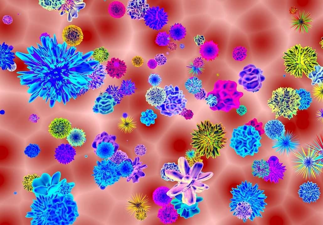papilloma