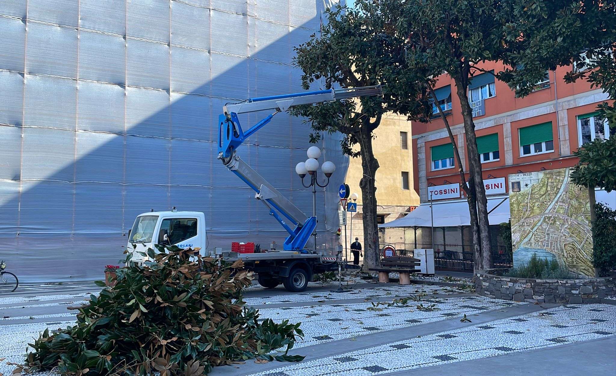 potatura alberi recco