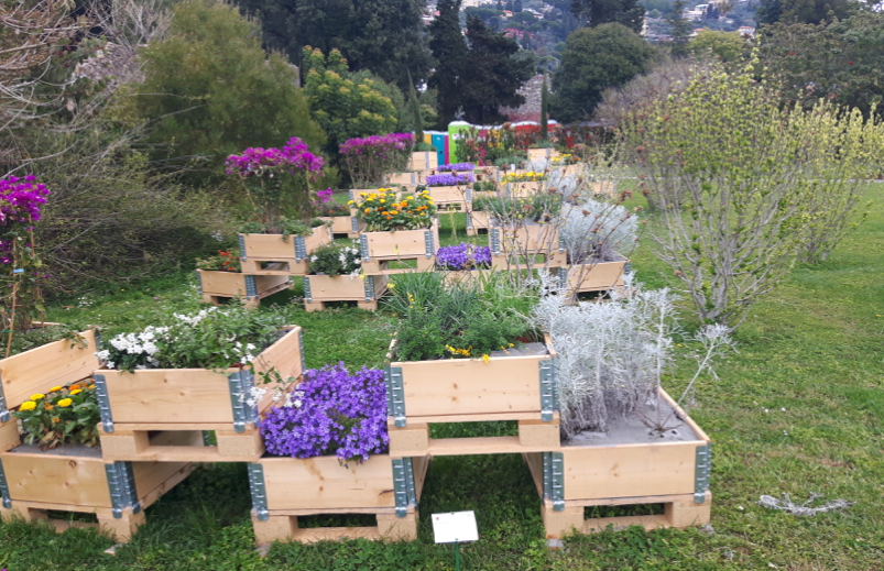 Euroflora