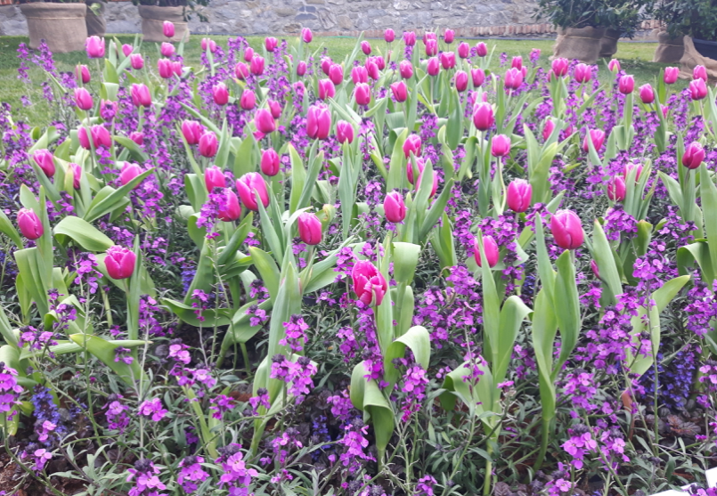 Euroflora