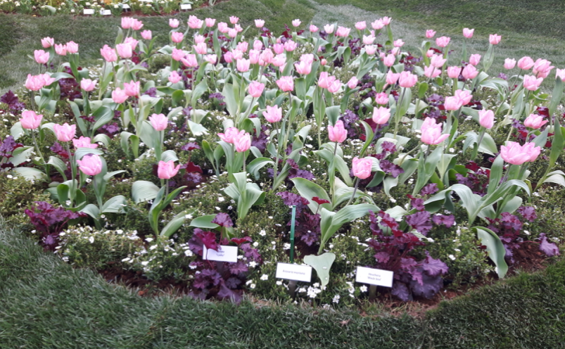 Euroflora