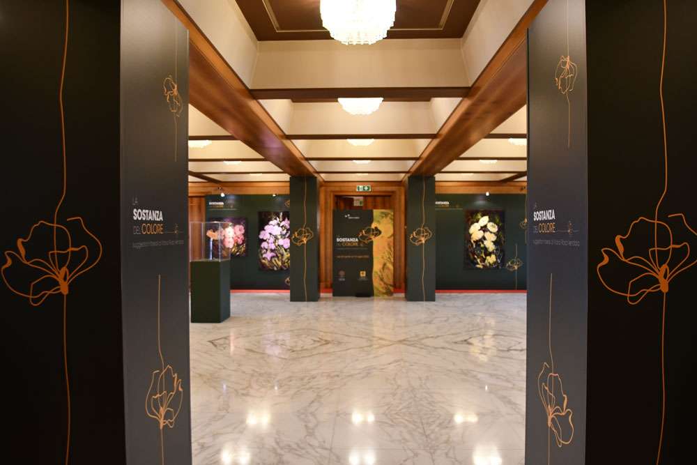fiori carige 2