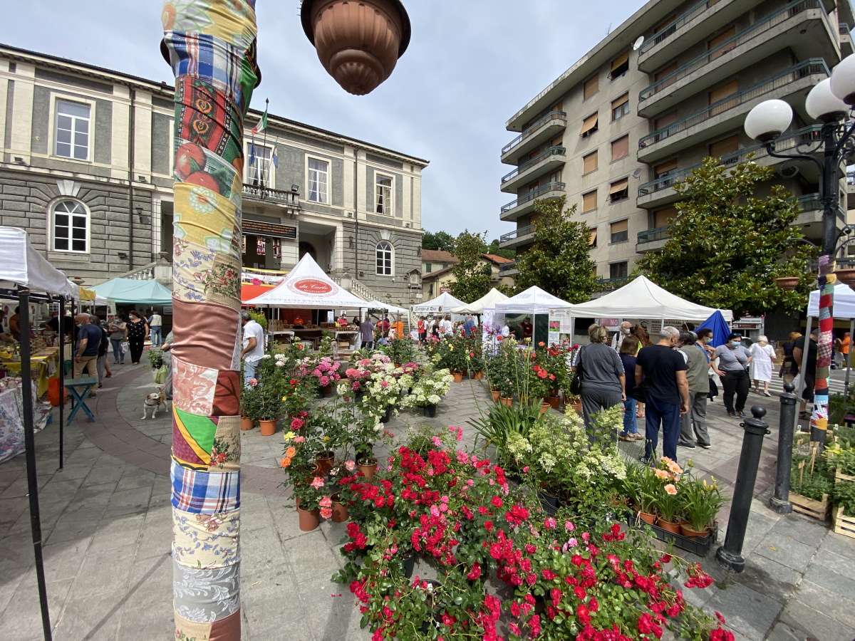 Festa delle Rose_piazza Macciò