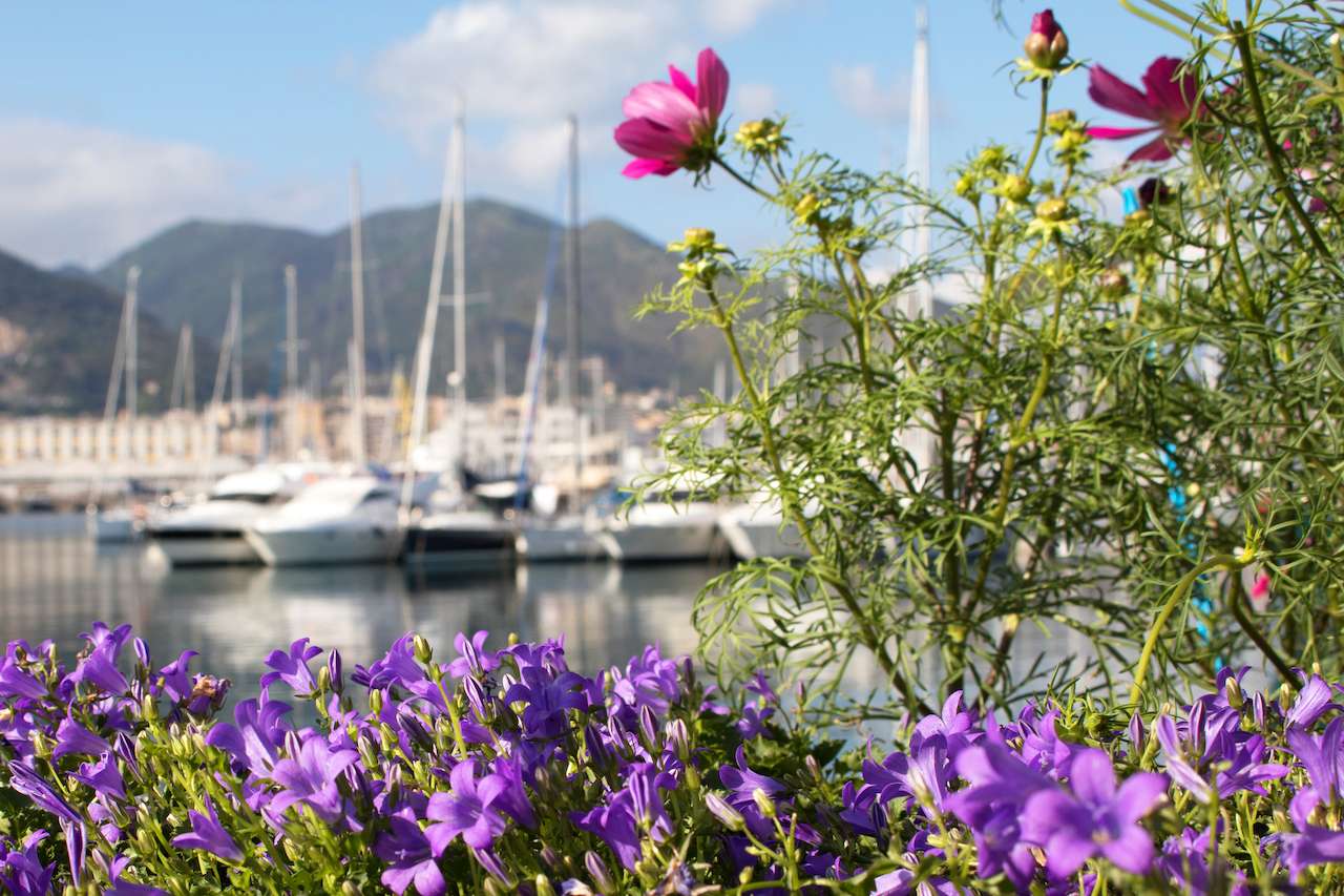 Yacht &amp; Garden_low