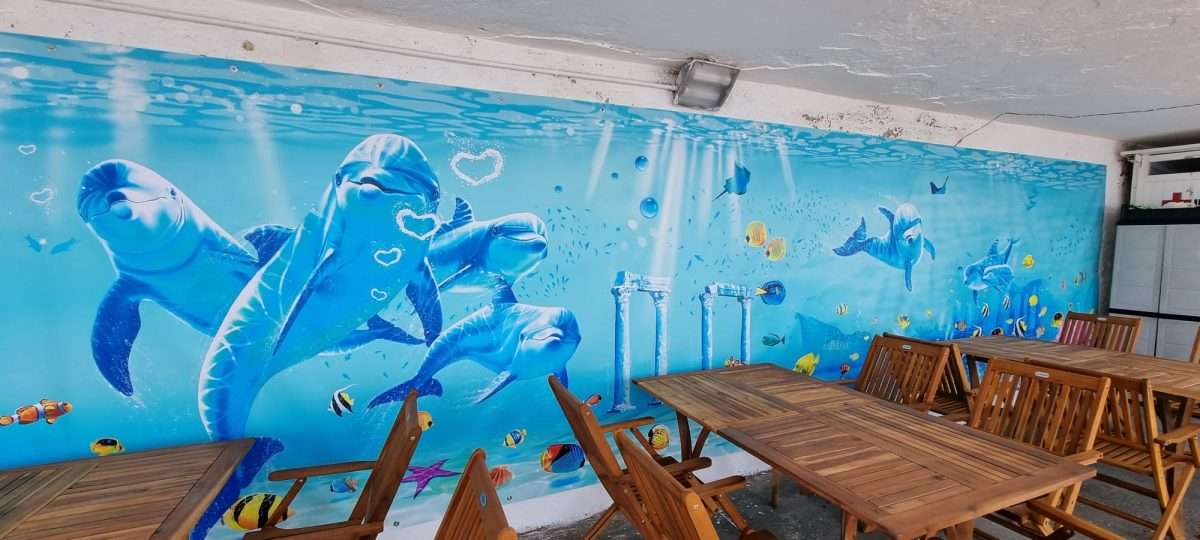 delfini