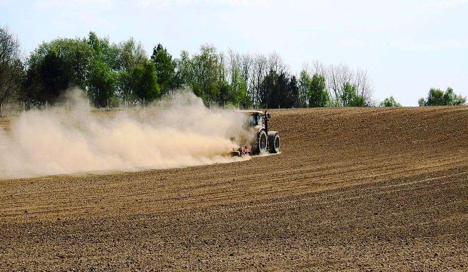 siccità agricoltura3