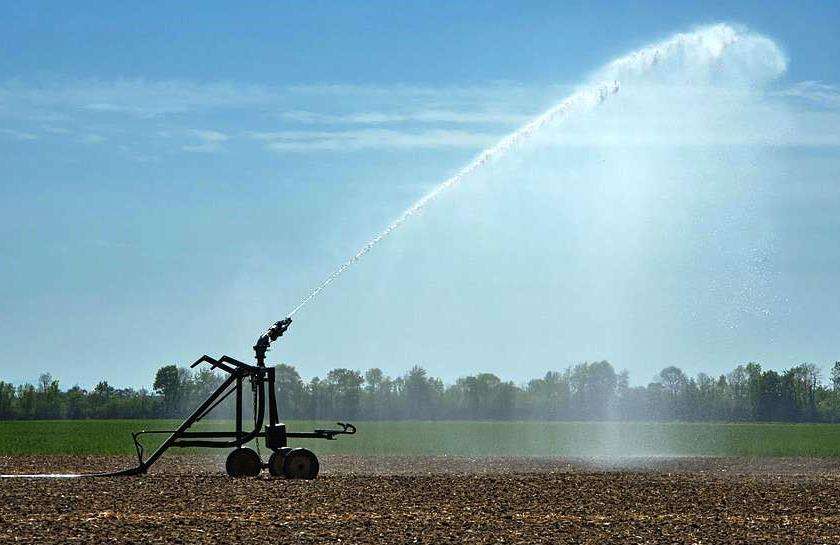 siccità agricoltura4