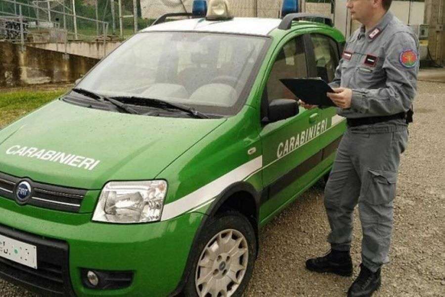 Mezzo_e_carabiniere_forestale