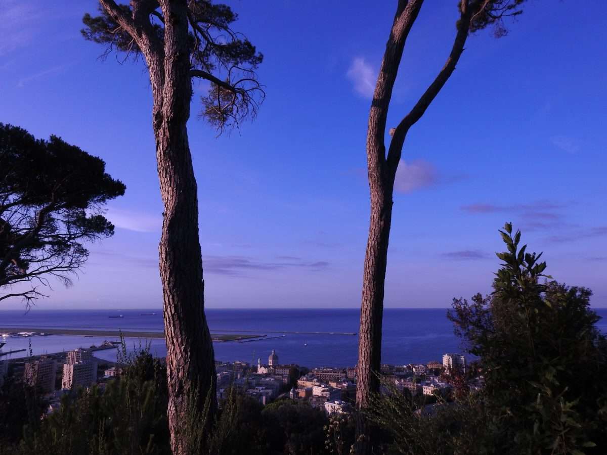 Pallavicini_alba-paesaggio