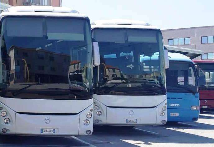 bus turismo tpl linea