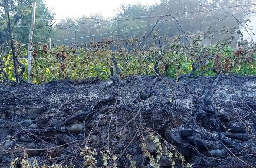 danni incendio albenganese