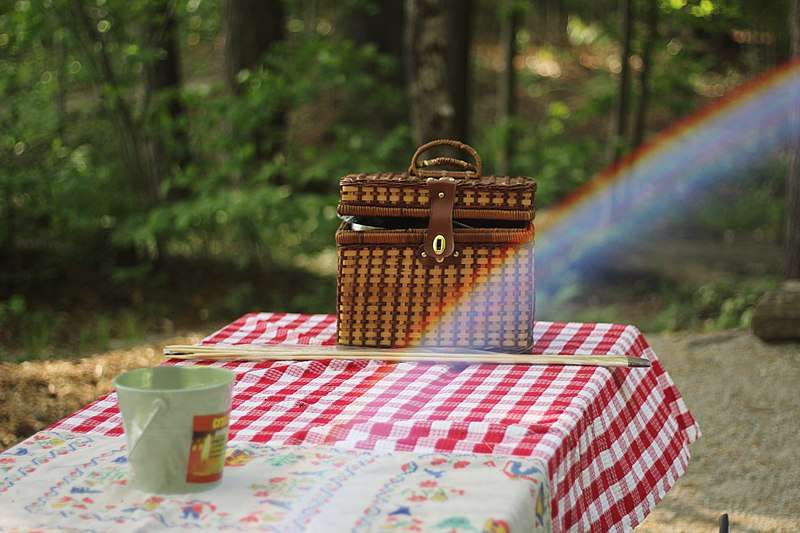 picnic