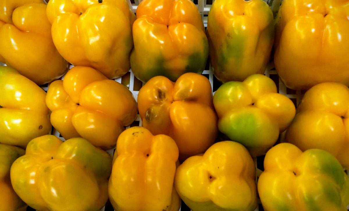 Peperoni_gialli