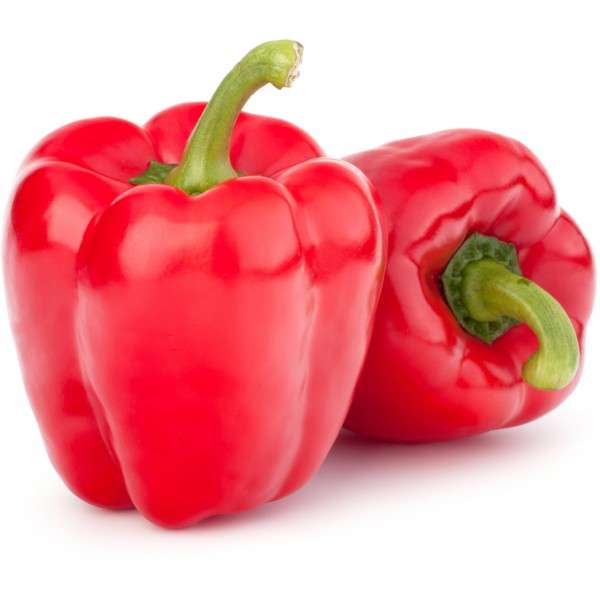 perp rosso