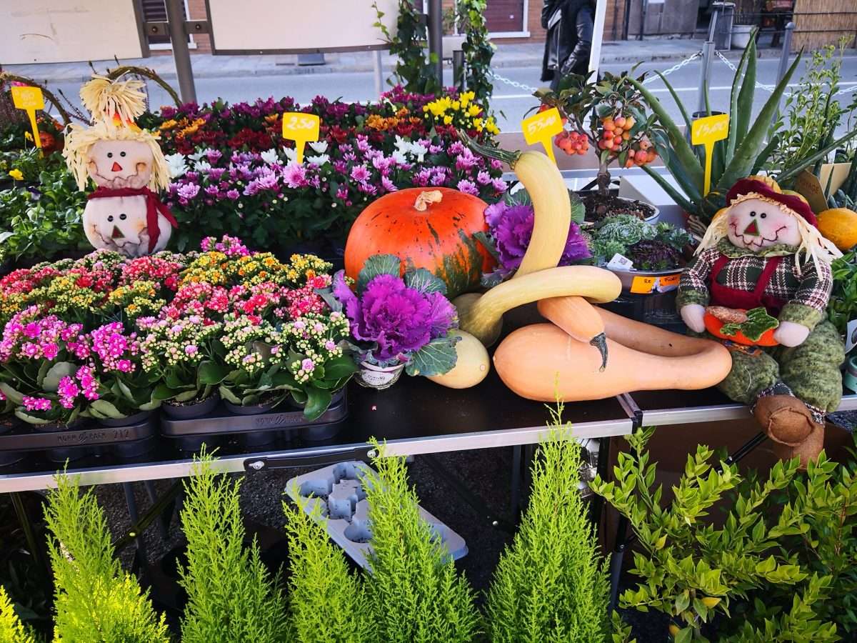 Festa d autunno Busalla