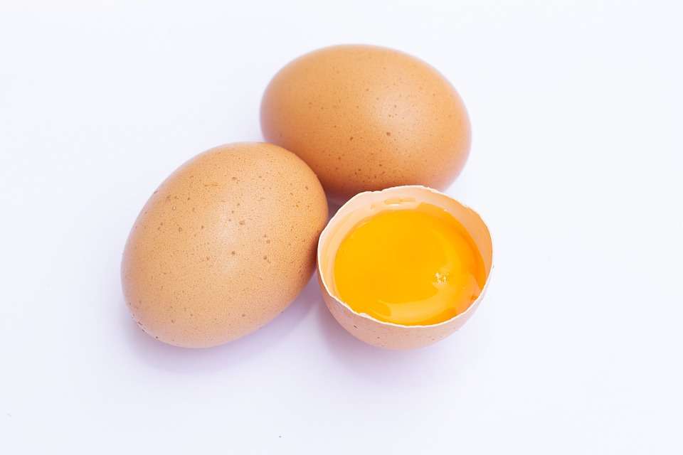 tuorlo