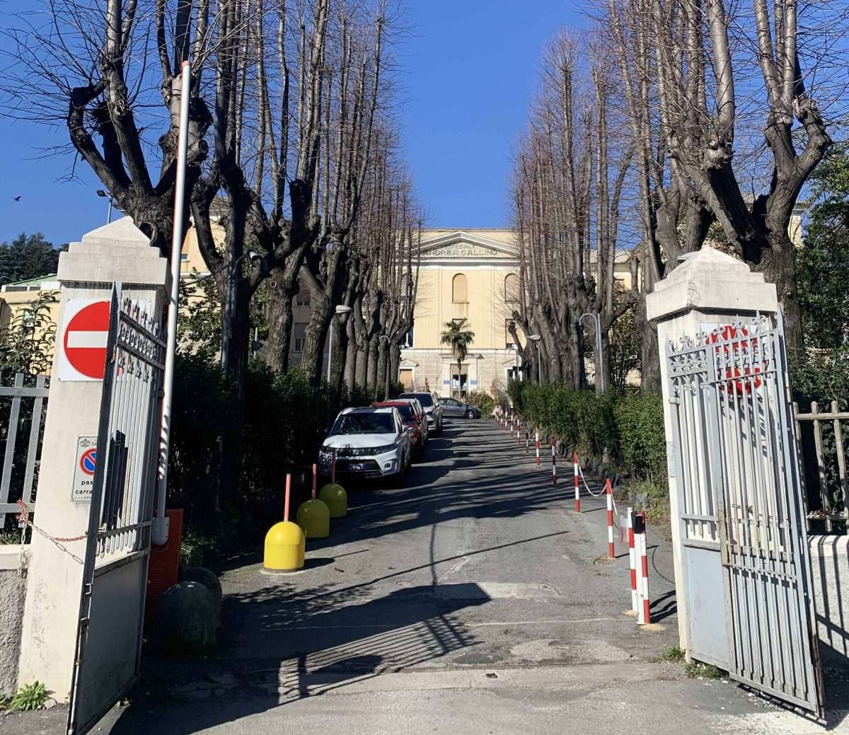 gallino_new_low